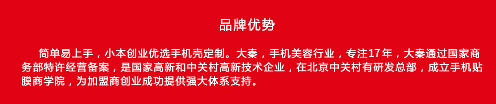 大秦手机壳个性定制品牌故事